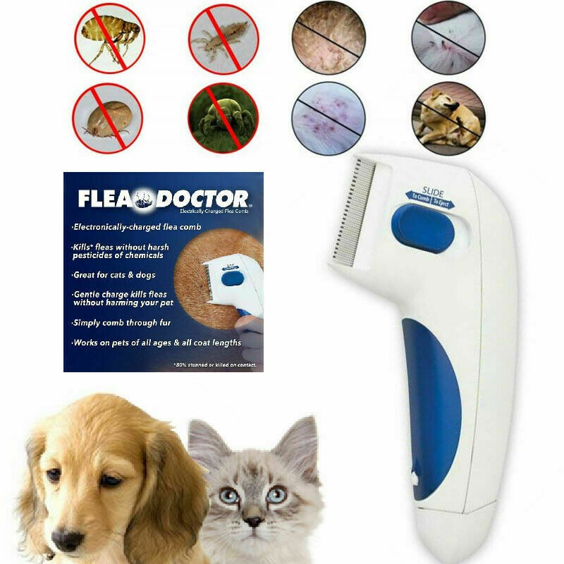 Brush that kills fleas best sale