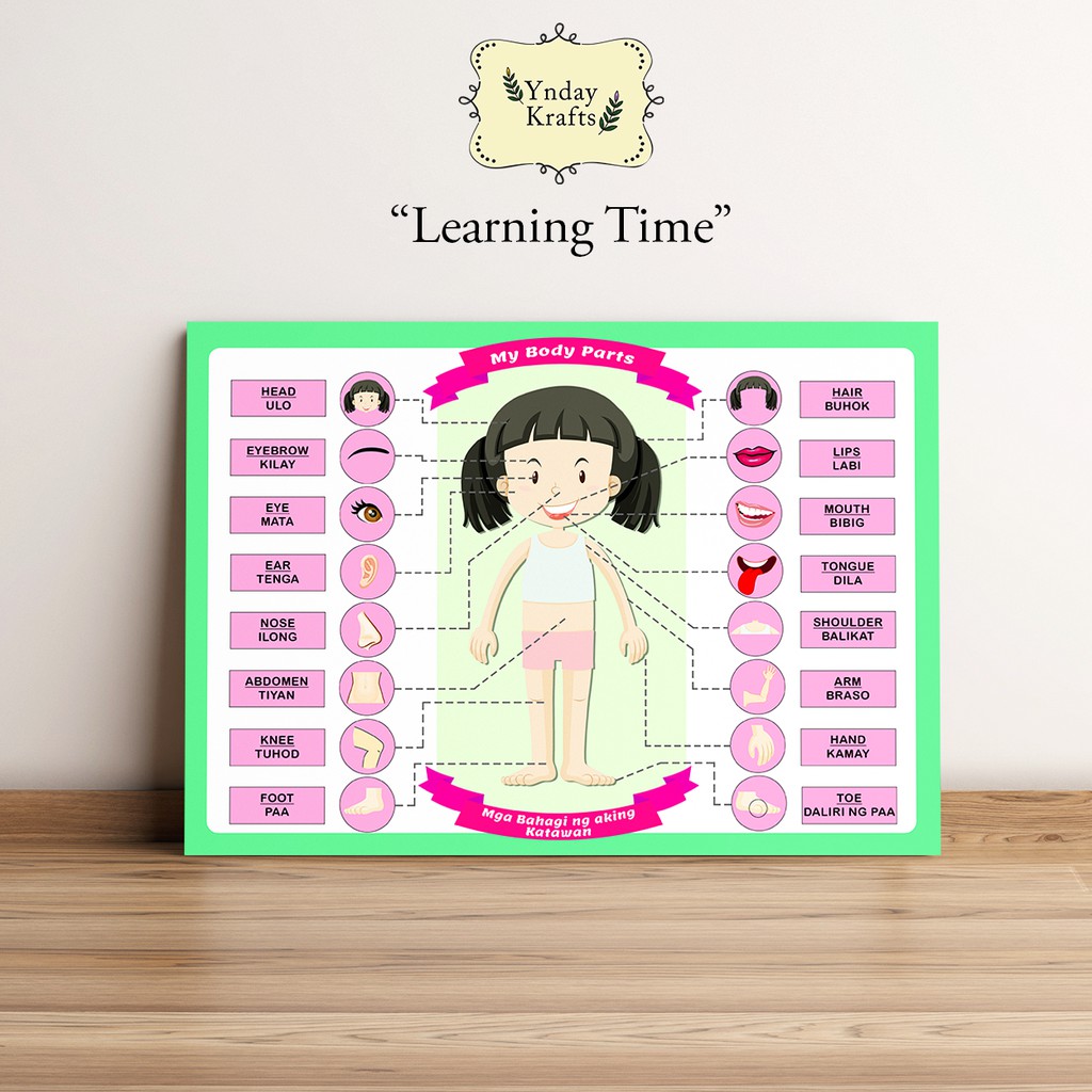 Educational Body Parts EnglishTagalog Chart for Children (Girl/Boy