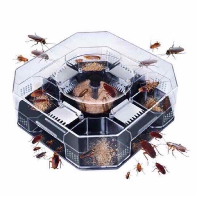 Ant Cockroach Trap Killer Ant Catcher Temptation | Shopee Philippines