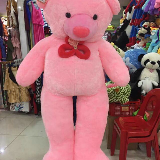 human size teddy bear shopee