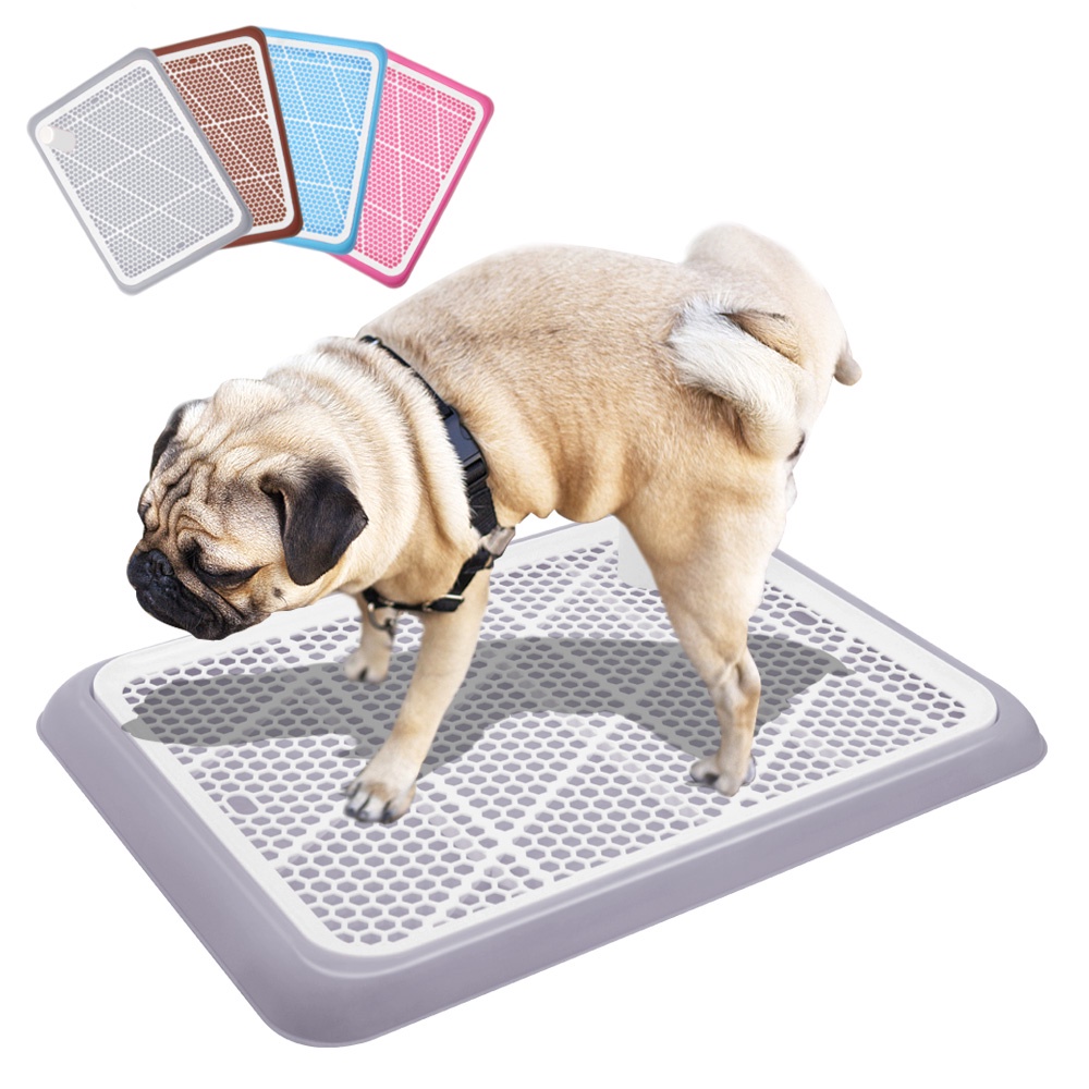 Large dog potty tray best sale