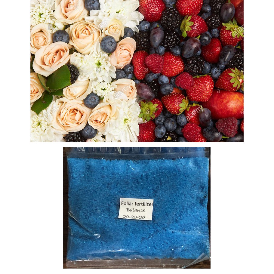 cash on deliverybat guano bat dung potting media top dressing soil 1kg 500g OK6A Shopee