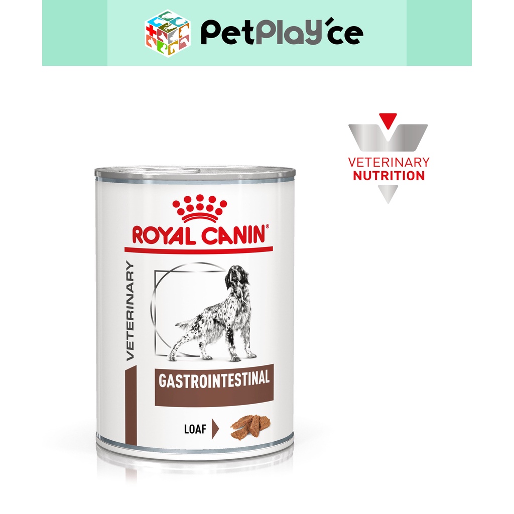 Canin best sale gastrointestinal canine