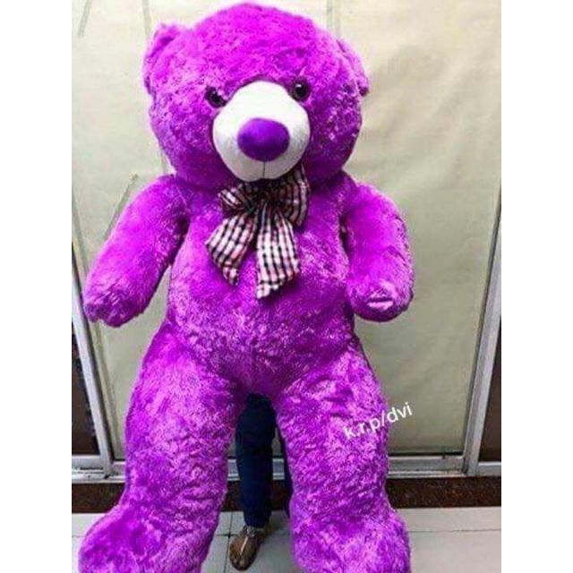 Violet teddy store