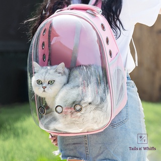 Cat transparent bag sale