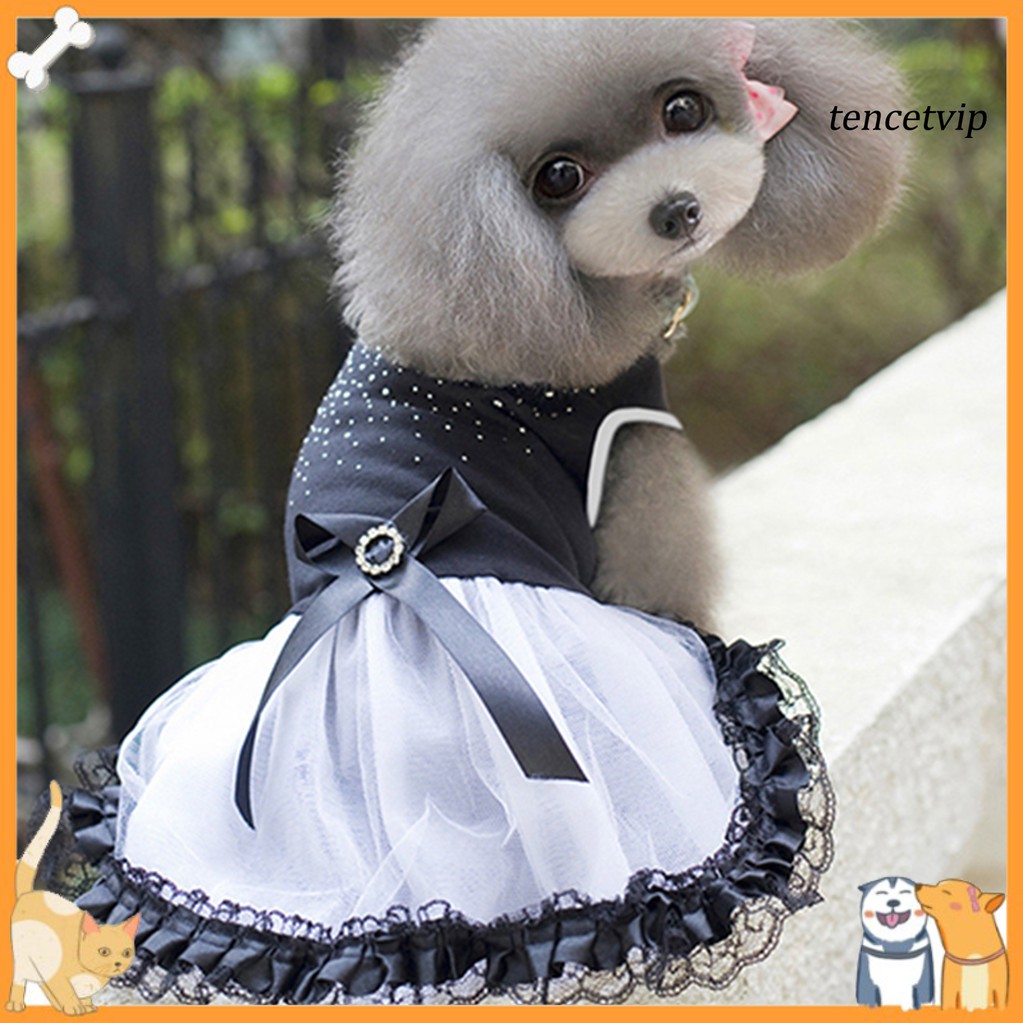 Shopee sales dog clothes