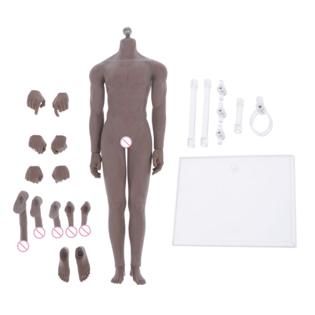1/6 SUPER SOFT SEAMLESS MUSCULAR MALE FIGURE STEEL BODY & ACCESSORIES ...