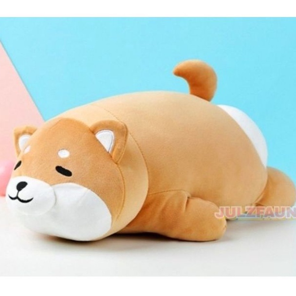 Corgi miniso shop