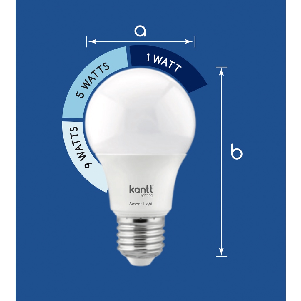 KANTT Lighting LED 3 Step Dimming Bulb 15W ( DAYLIGHT, WARM WHITE ...