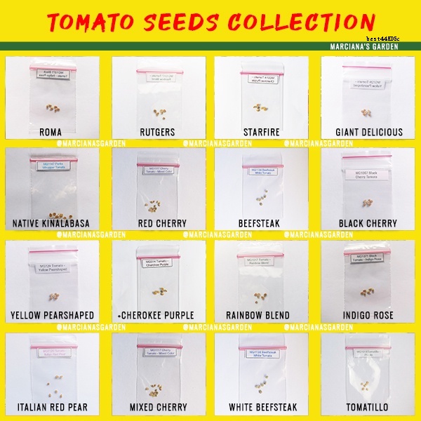 Tomato Seeds Collection / Kamatis Seeds Beefsteak, Cherry, Kinalabasa