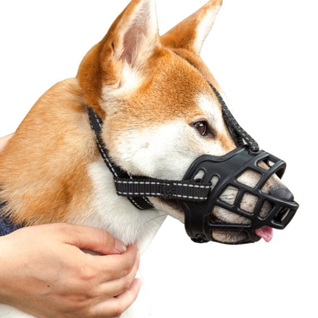 Dog hot sale mouth guard