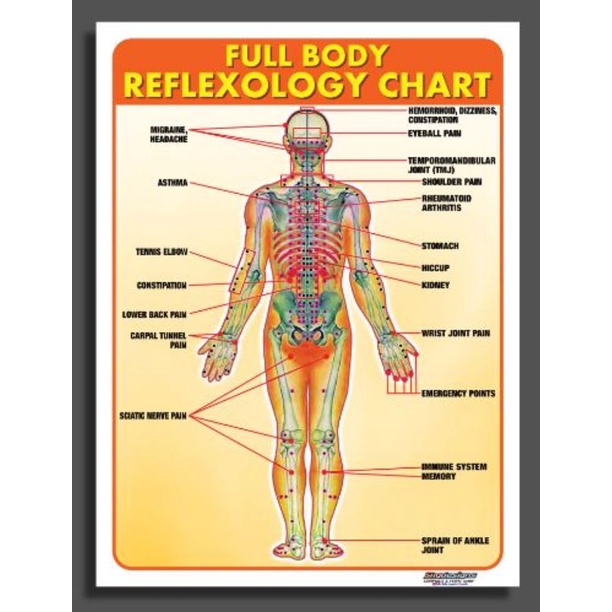 EDUCATIONAL TARPAULIN CHART FULL BODY REFLEXOLOGY 45X60CM | Shopee ...