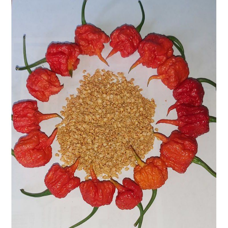 Take A Look About Buy Carolina Reaper Seeds
