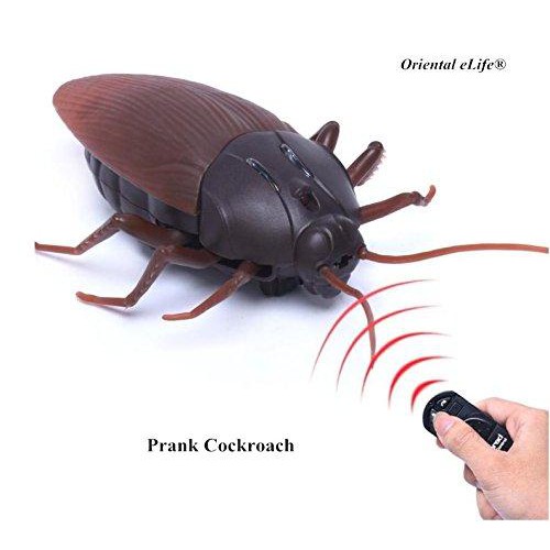Remote Control Giant Cockroach | Shopee Philippines