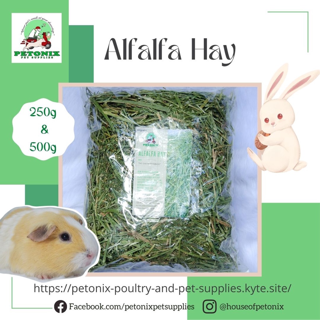 Is alfalfa good for guinea pigs hotsell