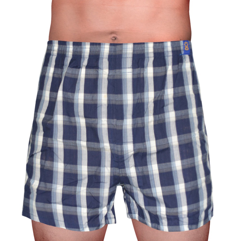 Sunjoy Checkered Boxer Shorts (Navy Blue) | Shopee Philippines
