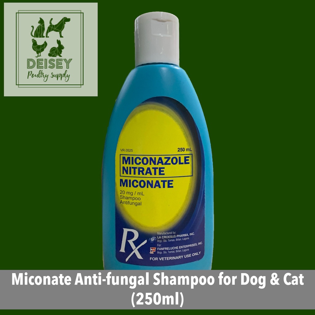 (hot)Miconazole Nitrate Miconate Antifungal Shampoo for Dog & Cat
