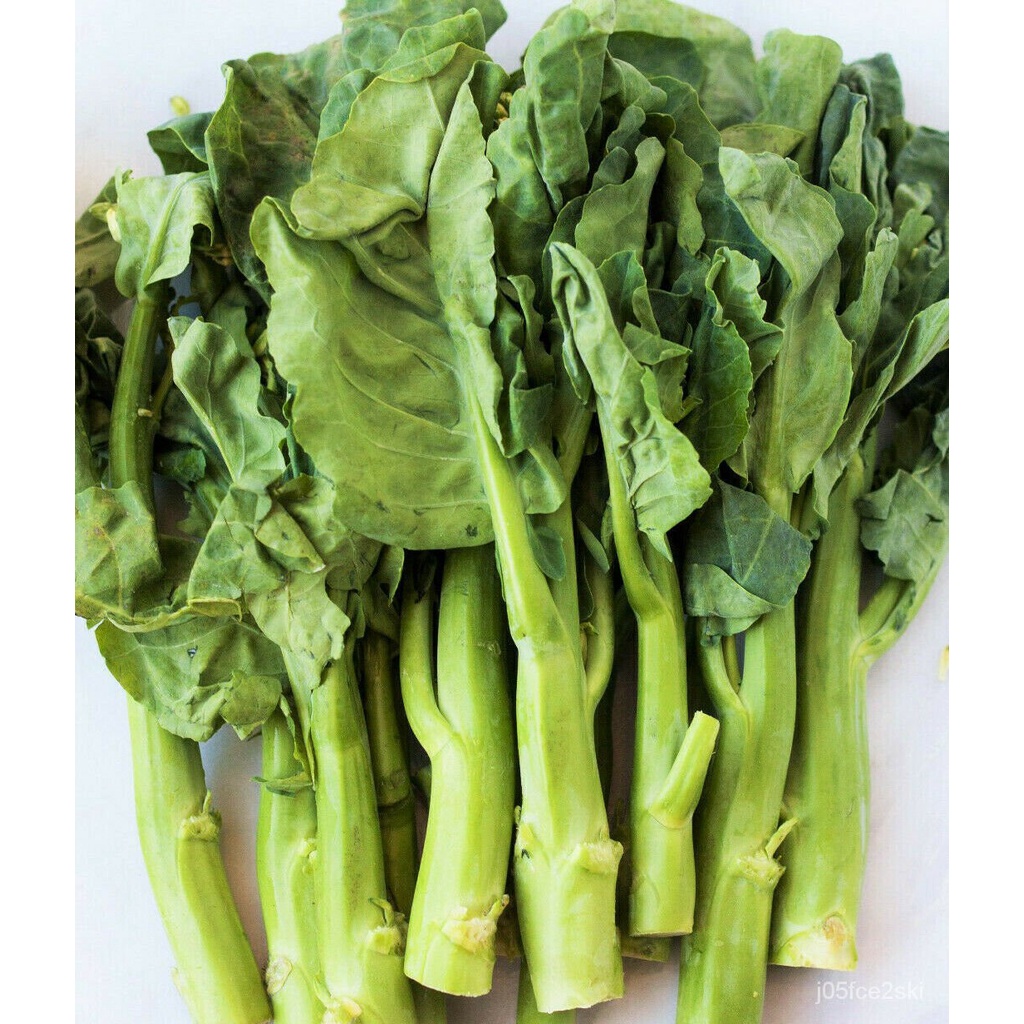 Guaranteed germination rate Chinese Broccoli (Gai Lan) Seeds Wan Shen Yu Choy Asian Vegetable