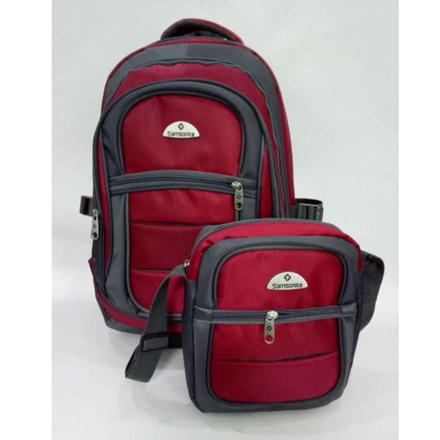 2 in 1 Backpack Samsonite