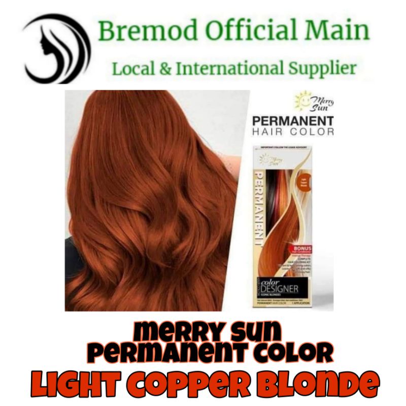 N Merry Sun Permanent Hair color Shopee Philippines