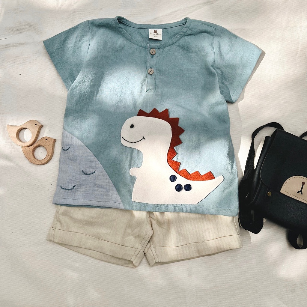 Arlo SET - Blue Dinosaur Pattern Clothes SET for Children Up to 5 Years ...