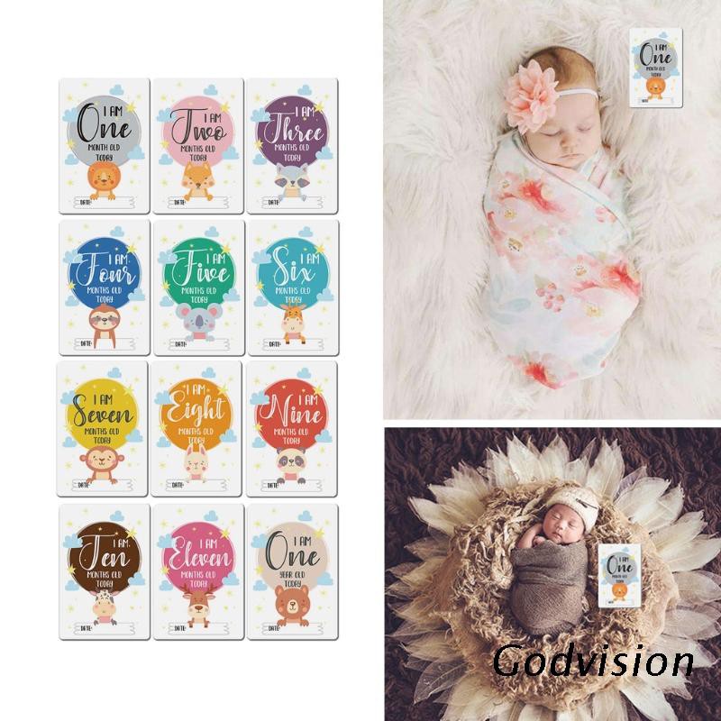 BB 12 Sheet Baby Monthly Milestone Cards Birth to 12 Months Photo ...