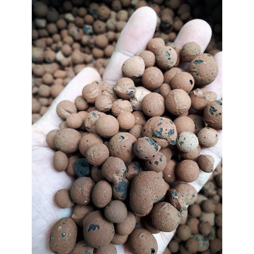 ARNETH HIGH QUALITY HYDROTON CLAY PEBBLES (MIXED SIZES) | Shopee ...