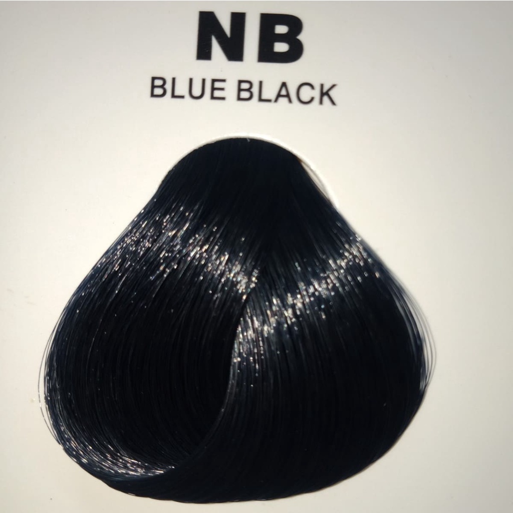 Ashley Shine High Density Pigments Keratin Amino Acids Hair Color Dye 2in1 Set 60ml Shopee