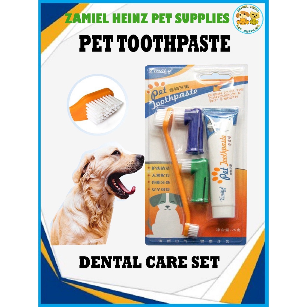 YINGTE Pet Toothbrush and Toothpaste Set 75g | Shopee Philippines