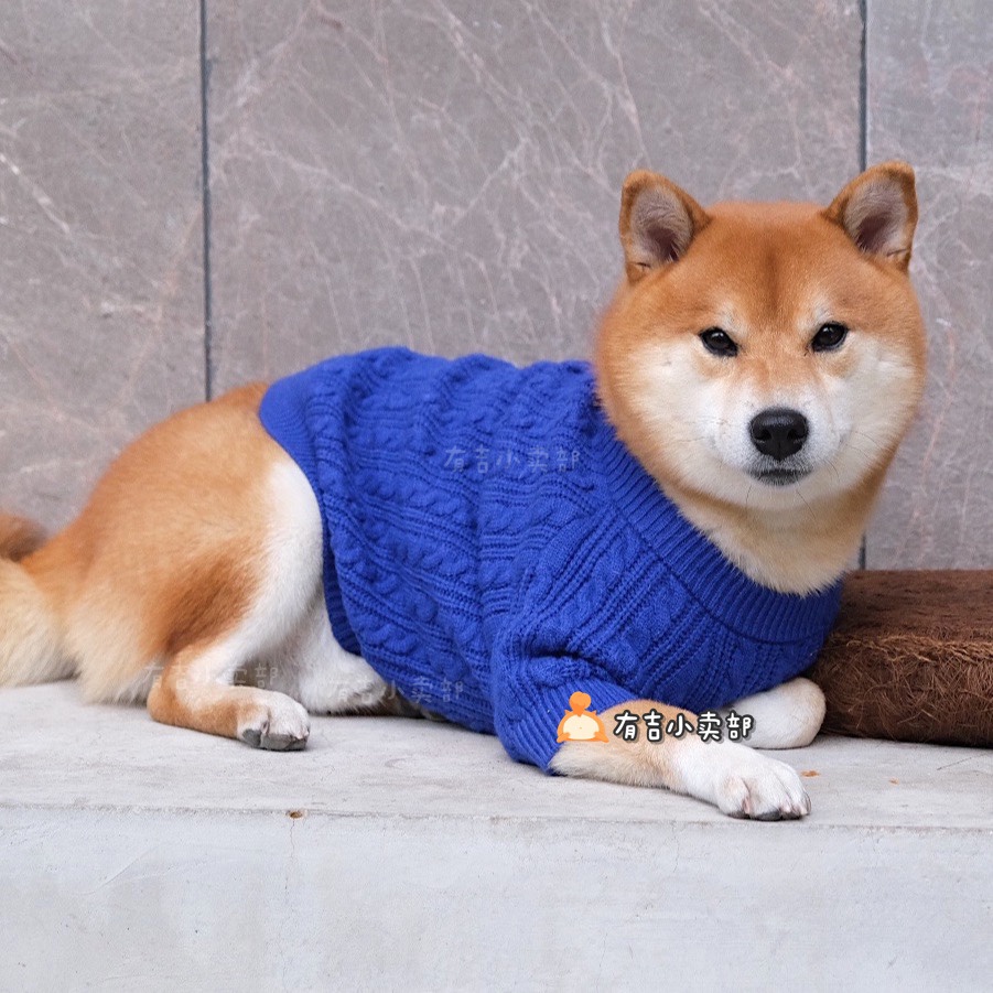 Shiba 2025 inu sweater