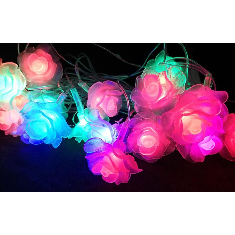 YMS 7 Color Changing LED Rose Flower Christmas Light With Sounds Adjustable 50 Heads Shopee