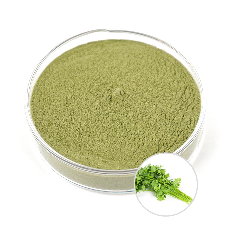 Pure Coriander Leaves Powder / Cilantro Leaf Powder Shopee Philippines