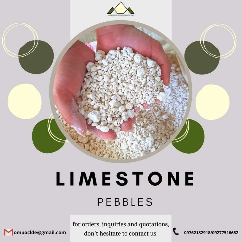 Limestone Pebbles for plant, garden, cactus, succulent and landscaping