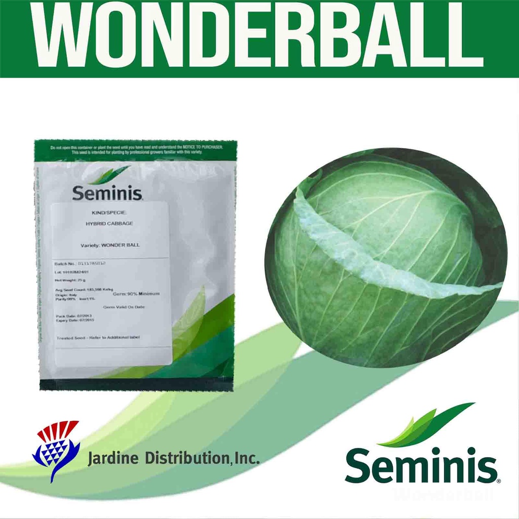 Wonderball Seminis Cabbage Seeds 25g Shopee Philippines