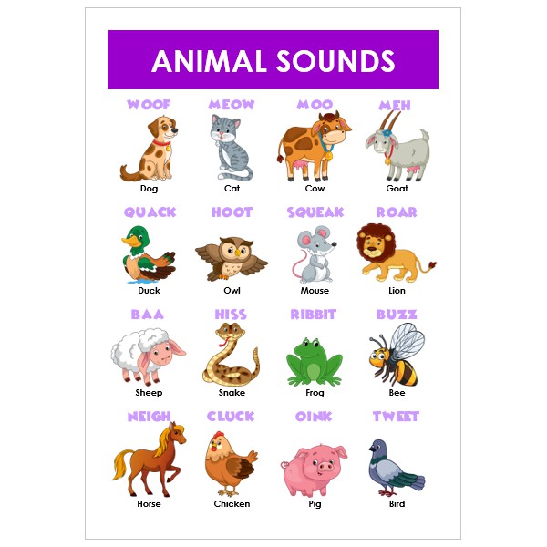 NEW! Laminated Animal Sounds Chart A4 | Shopee Philippines