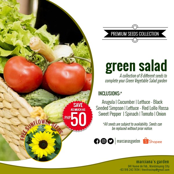 Green Salad Seeds Collection Salad Garden Seeds Collection Heirloom