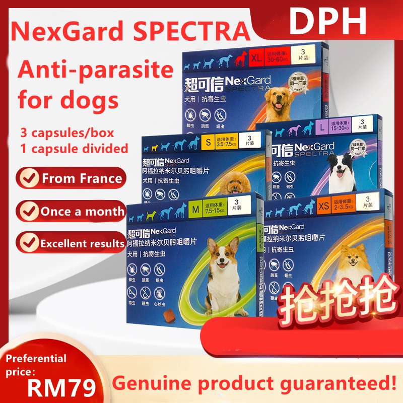 NexGard SPECTRA Dog Insect Repellent Puppies Small Large Dogs Insects