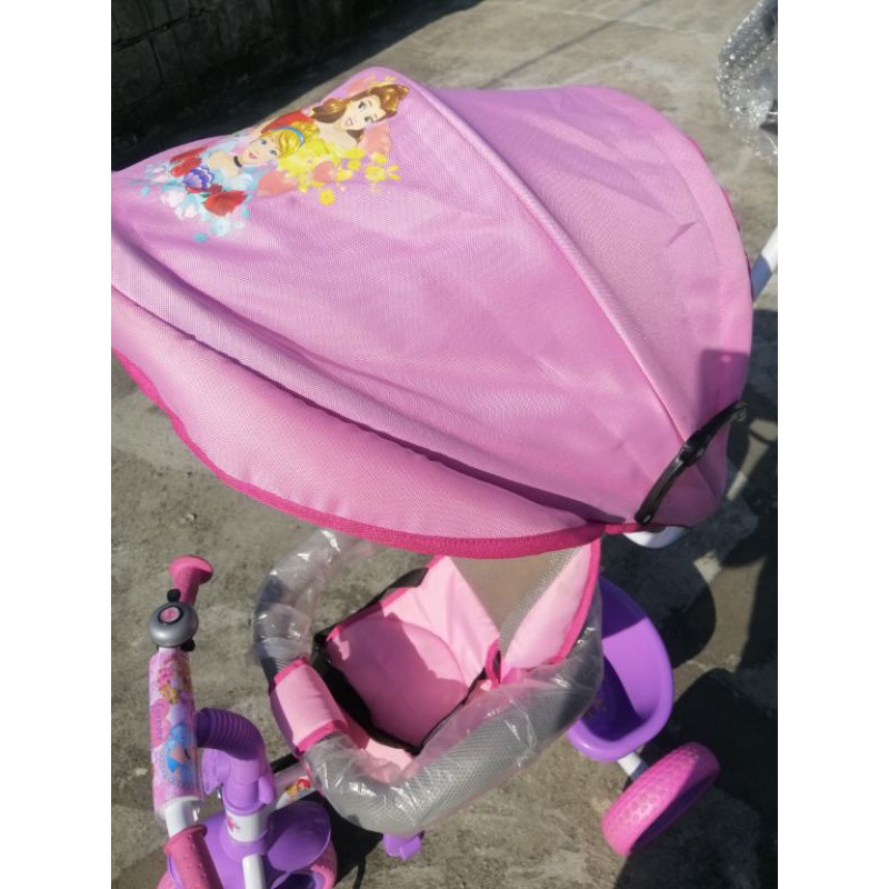 Disney hotsell princess trike