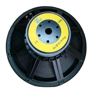 Live storm tsunami speaker