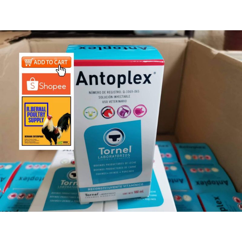 ANTOPLEX 100ml Tornel | Shopee Philippines