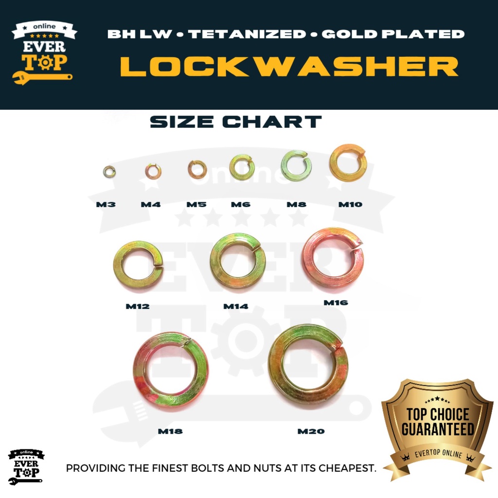 BH Lock Washer 3mm - 20mm | GOLD PLATED | TETANIZED | Ordinary Lock ...