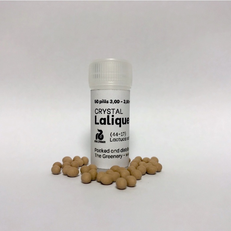 Lalique Crystal Lettuce Seeds Rijk Zwaan Budget Sizes Shopee