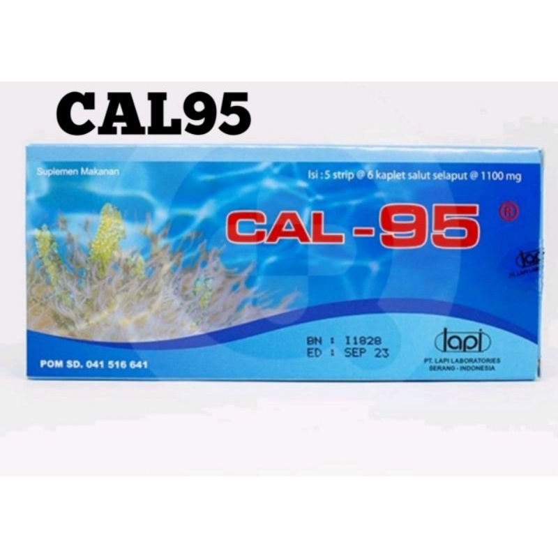 CAL95 Calcium for Bones and Pregnant Women Cal-95 | Shopee Philippines