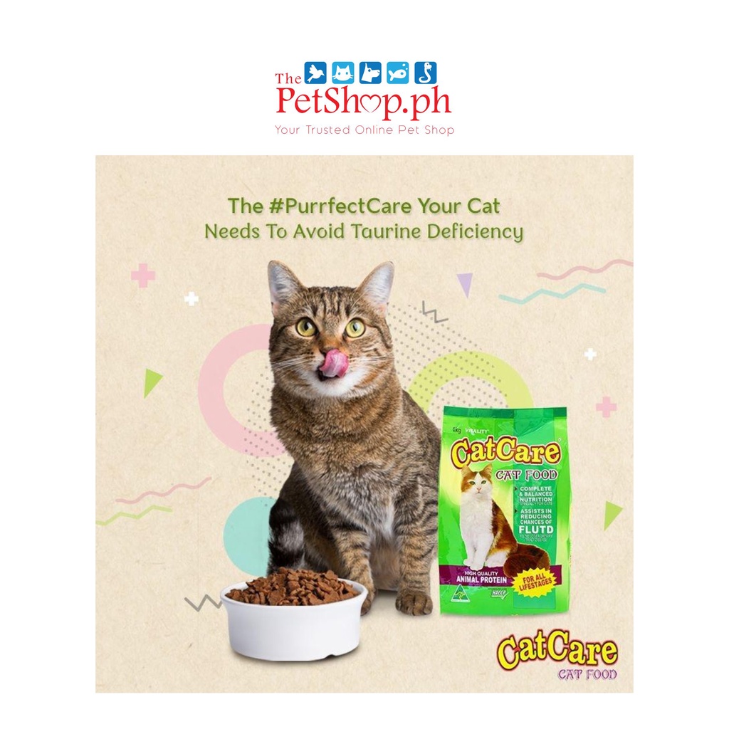 Flutd cat food best sale