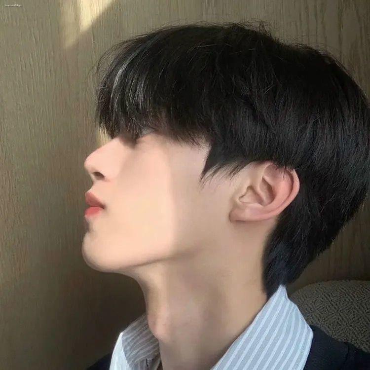 Wig male short hair Korean handsome men s short straight hair realistic and natural Qi Liu Hai students fluffy daily full headgear Shopee Philippines