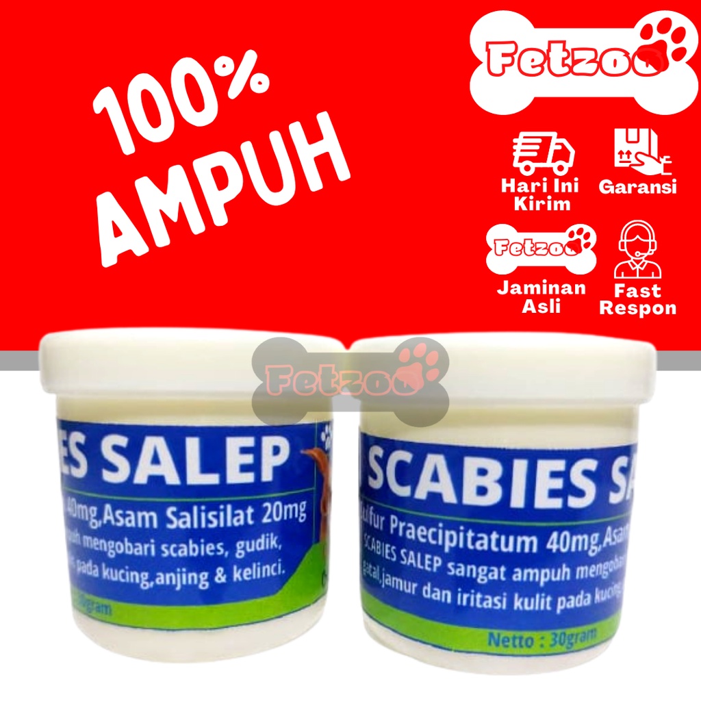 Medicine SCABIES Cat Rabbit Ointment 30gr Rabbit Mushroom gudig koreng ...
