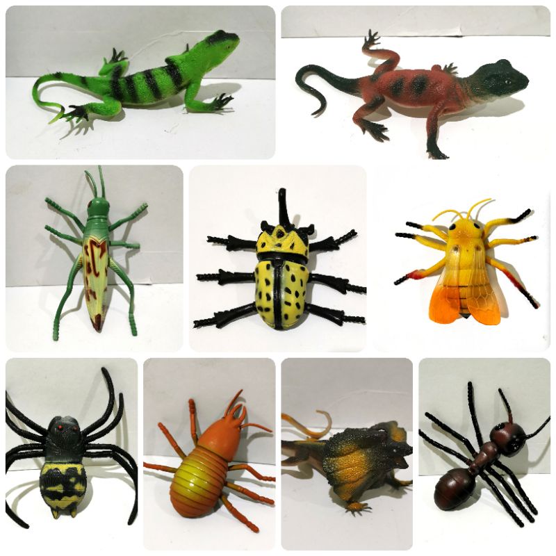 Giant insect Plastic Grasshopper, mantis, ant, lizard bee spider toys 1 ...