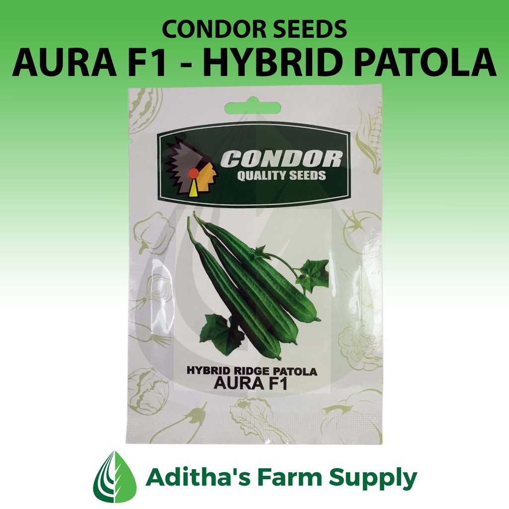 Condor Seeds Aura F1 (Hybrid Ridge Patola) Shopee Philippines