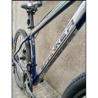 Spanker journey online 29er