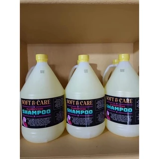 clarifying shampoo - Best Prices and Online Promos - Dec 2025 Shopee